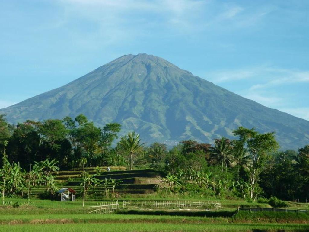 Villa Sumbing Indah ماجلانج المظهر الخارجي الصورة
