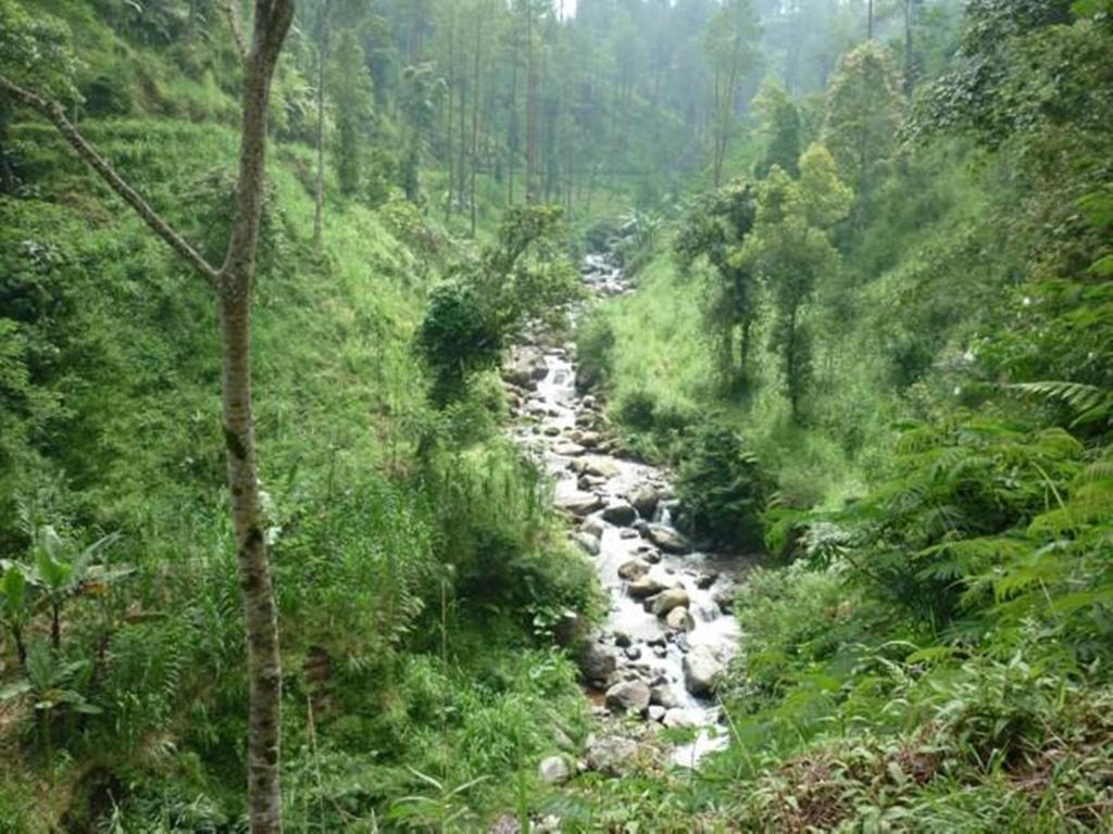 Villa Sumbing Indah ماجلانج المظهر الخارجي الصورة