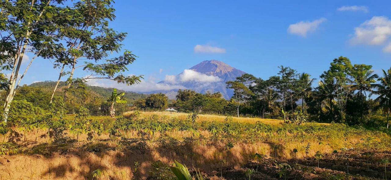Villa Sumbing Indah ماجلانج المظهر الخارجي الصورة